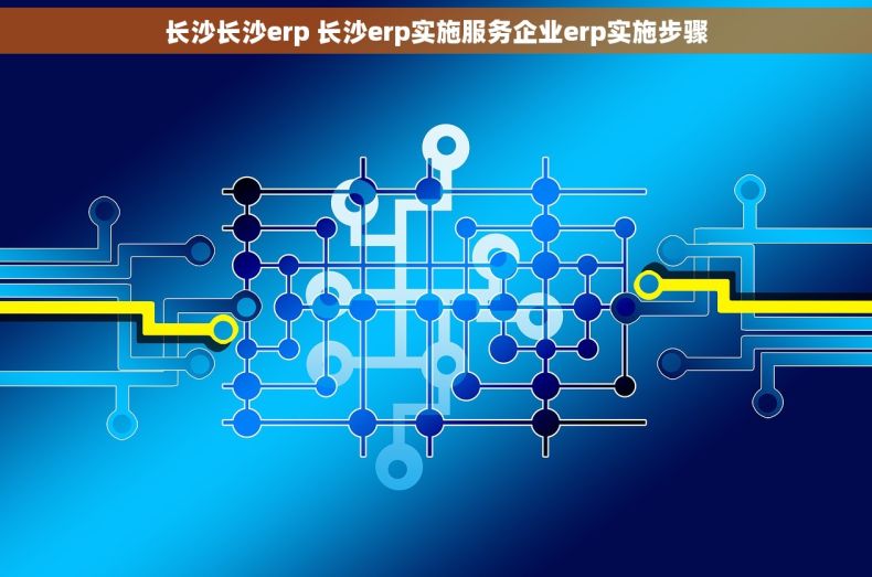 长沙长沙erp 长沙erp实施服务企业erp实施步骤