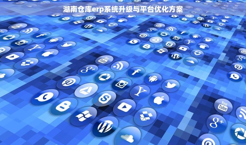 湖南仓库erp系统升级与平台优化方案