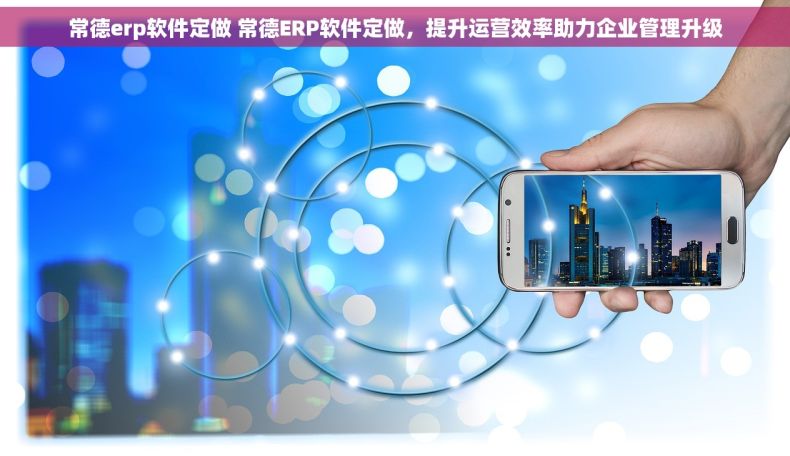 常德erp软件定做 常德ERP软件定做，提升运营效率助力企业管理升级