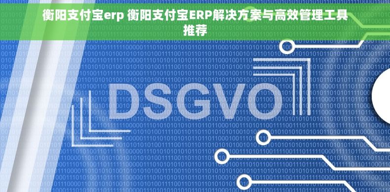 衡阳支付宝erp 衡阳支付宝ERP解决方案与高效管理工具推荐