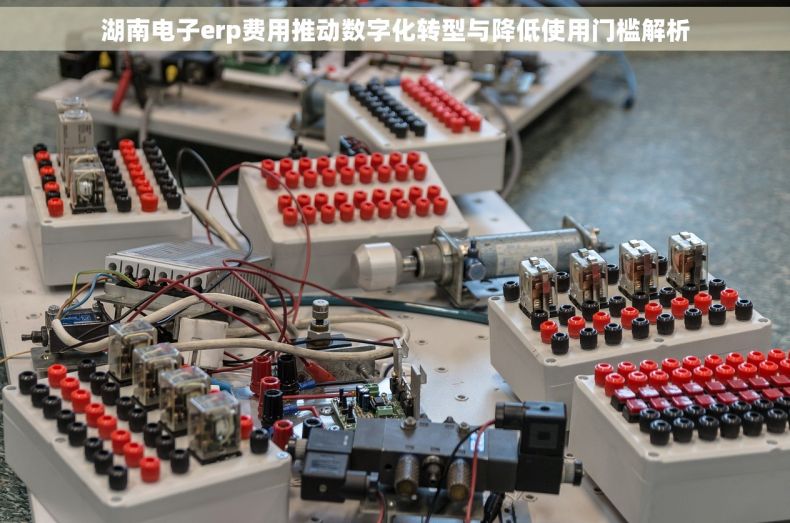 湖南电子erp费用推动数字化转型与降低使用门槛解析