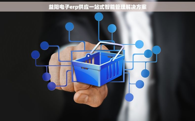 益阳电子erp供应一站式智能管理解决方案