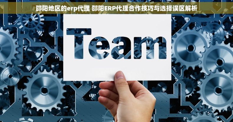 邵阳地区的erp代理 邵阳ERP代理合作技巧与选择误区解析