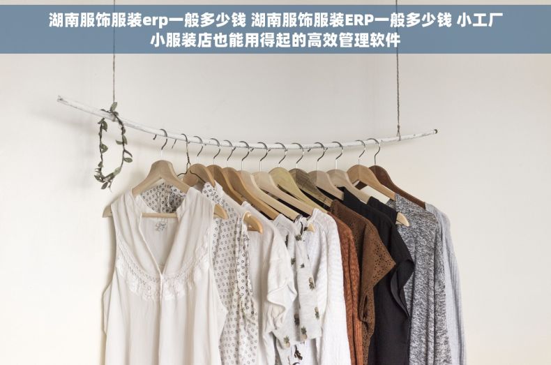 湖南服饰服装erp一般多少钱 湖南服饰服装ERP一般多少钱 小工厂小服装店也能用得起的高效管理软件