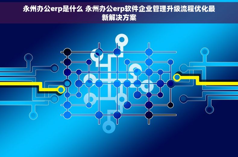 永州办公erp是什么 永州办公erp软件企业管理升级流程优化最新解决方案