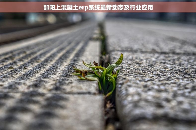 邵阳上混凝土erp系统最新动态及行业应用