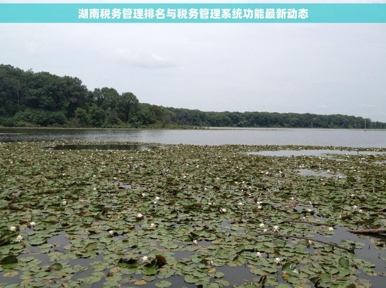 湖南税务管理排名与税务管理系统功能最新动态