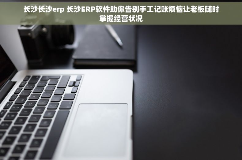 长沙长沙erp 长沙ERP软件助你告别手工记账烦恼让老板随时掌握经营状况