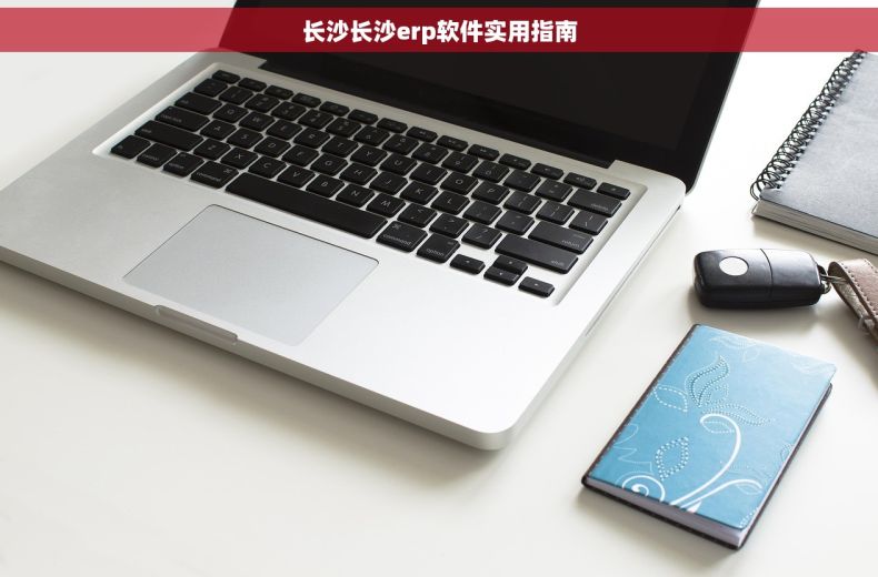 长沙长沙erp软件实用指南