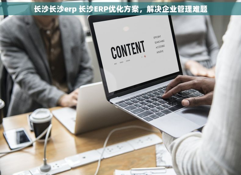 长沙长沙erp 长沙ERP优化方案，解决企业管理难题