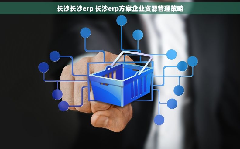 长沙长沙erp 长沙erp方案企业资源管理策略