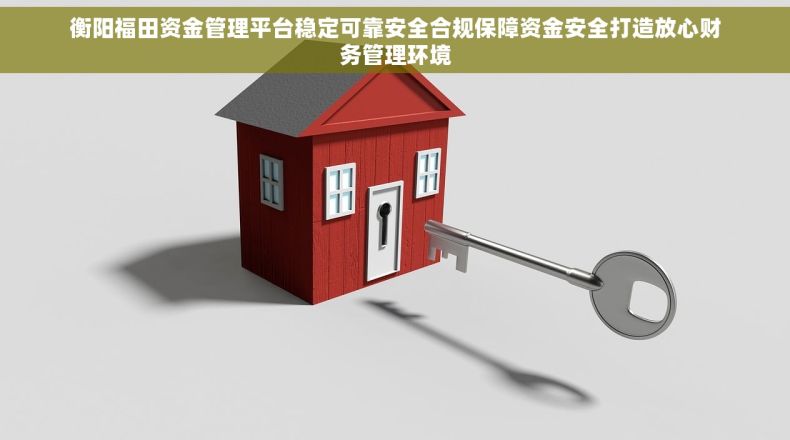 衡阳福田资金管理平台稳定可靠安全合规保障资金安全打造放心财务管理环境