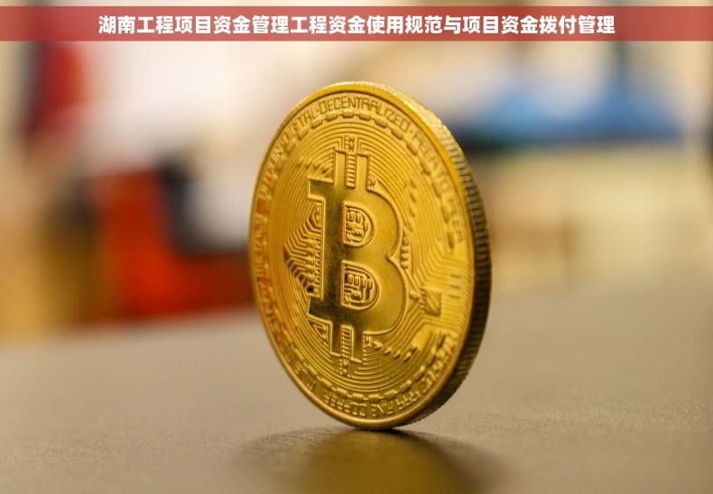 湖南工程项目资金管理工程资金使用规范与项目资金拨付管理