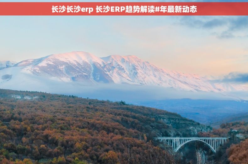 长沙长沙erp 长沙ERP趋势解读#年最新动态