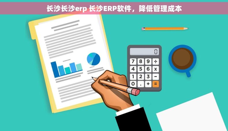 长沙长沙erp 长沙ERP软件，降低管理成本