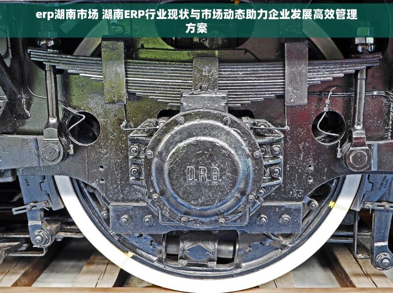 erp湖南市场 湖南ERP行业现状与市场动态助力企业发展高效管理方案