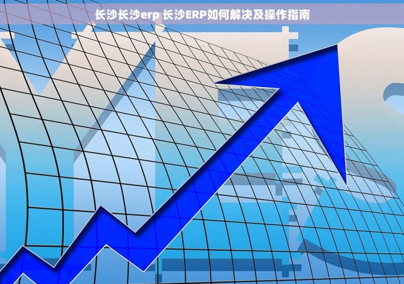 长沙长沙erp 长沙ERP如何解决及操作指南