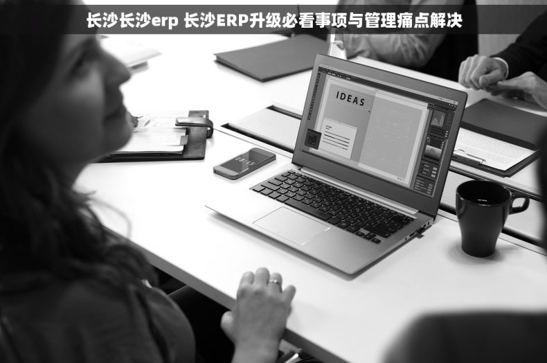 长沙长沙erp 长沙ERP升级必看事项与管理痛点解决