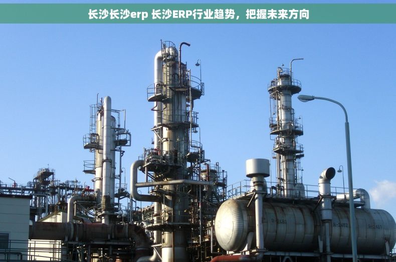 长沙长沙erp 长沙ERP行业趋势，把握未来方向