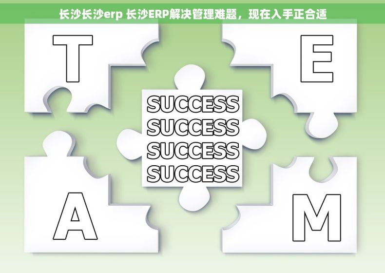 长沙长沙erp 长沙ERP解决管理难题，现在入手正合适