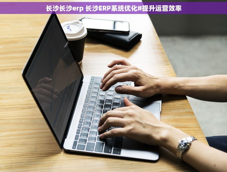 长沙长沙erp 长沙ERP系统优化#提升运营效率