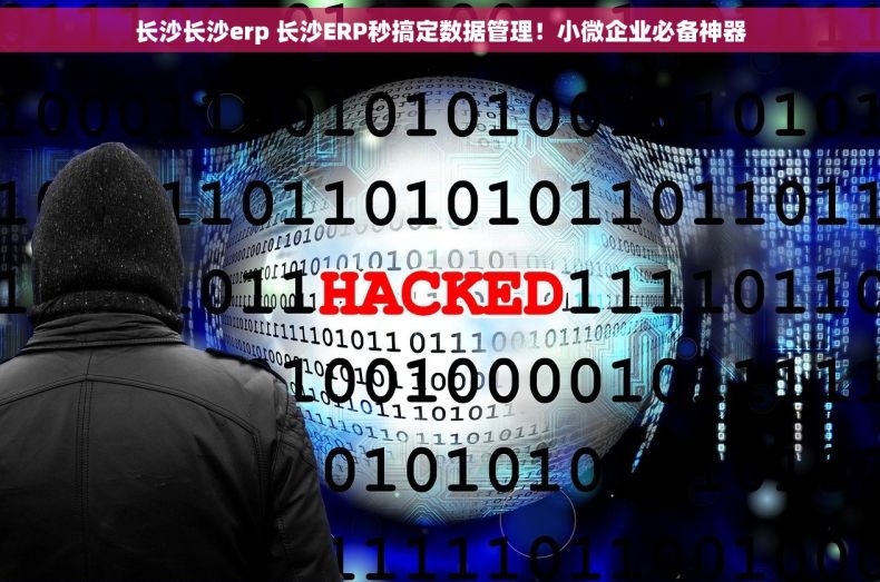 长沙长沙erp 长沙ERP秒搞定数据管理！小微企业必备神器