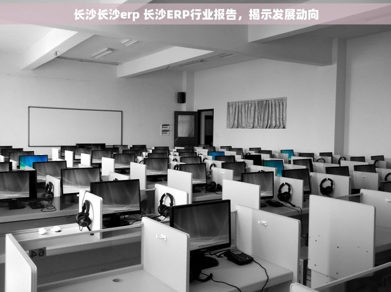 长沙长沙erp 长沙ERP行业报告，揭示发展动向