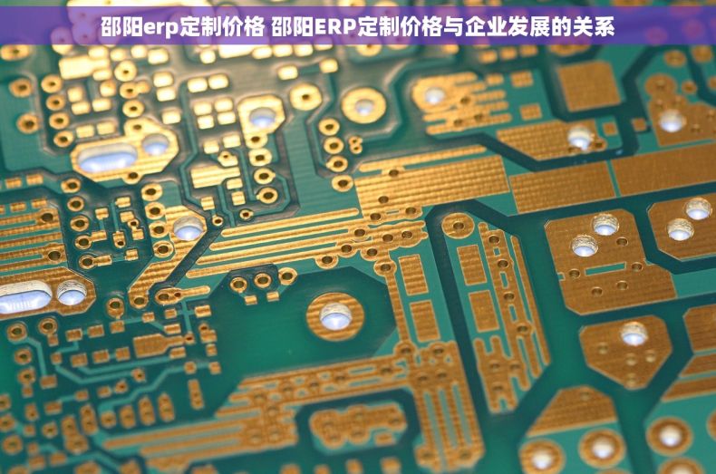 邵阳erp定制价格 邵阳ERP定制价格与企业发展的关系