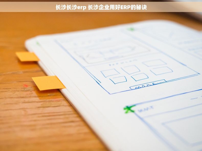 长沙长沙erp 长沙企业用好ERP的秘诀
