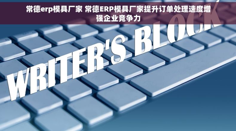常德erp模具厂家 常德ERP模具厂家提升订单处理速度增强企业竞争力