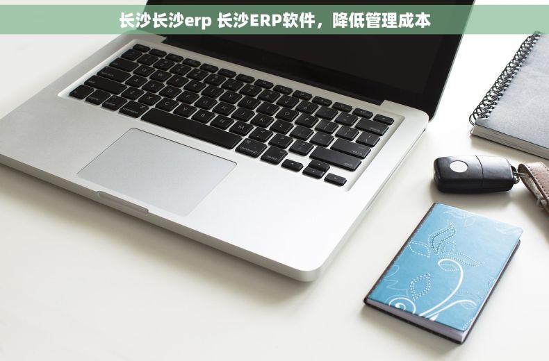 长沙长沙erp 长沙ERP软件，降低管理成本