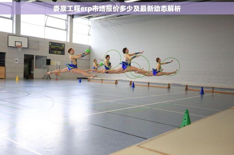 娄底工程erp市场报价多少及最新动态解析