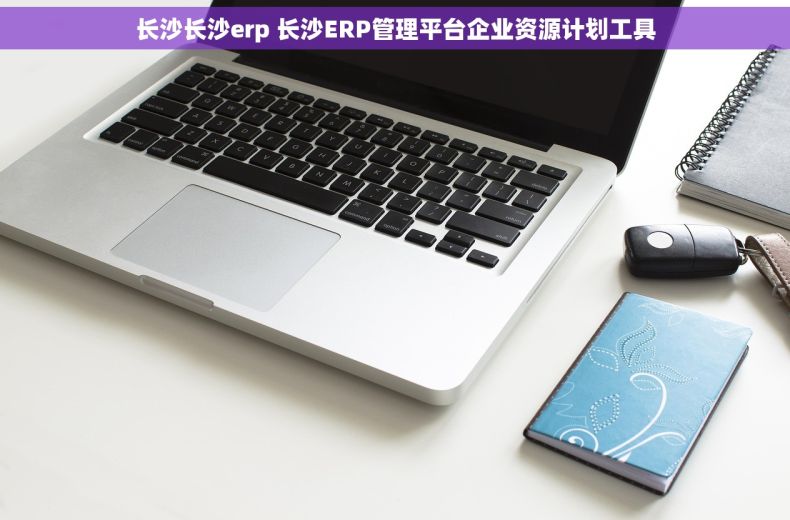 长沙长沙erp 长沙ERP管理平台企业资源计划工具