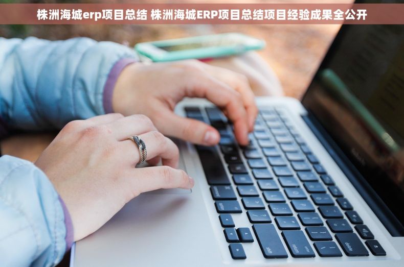 株洲海城erp项目总结 株洲海城ERP项目总结项目经验成果全公开