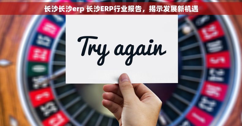 长沙长沙erp 长沙ERP行业报告，揭示发展新机遇