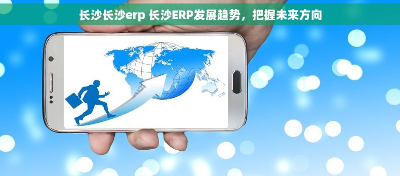 长沙长沙erp 长沙ERP发展趋势，把握未来方向