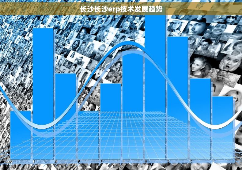 长沙长沙erp技术发展趋势