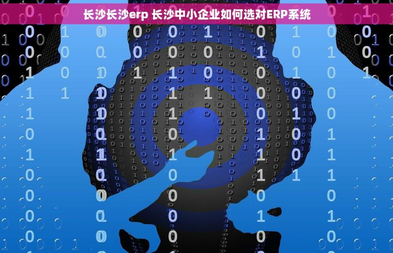 长沙长沙erp 长沙中小企业如何选对ERP系统