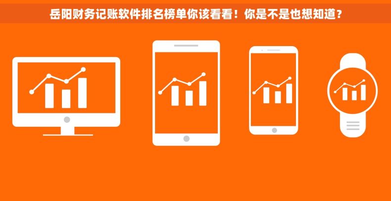 岳阳财务记账软件排名榜单你该看看！你是不是也想知道？