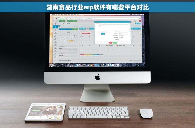 湖南食品行业erp软件有哪些平台对比