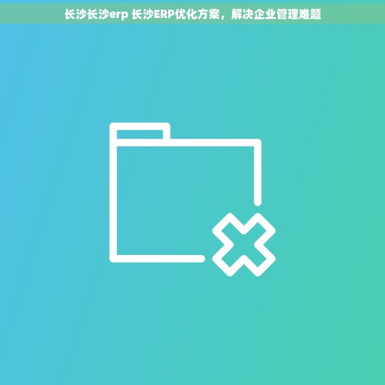 长沙长沙erp 长沙ERP优化方案，解决企业管理难题