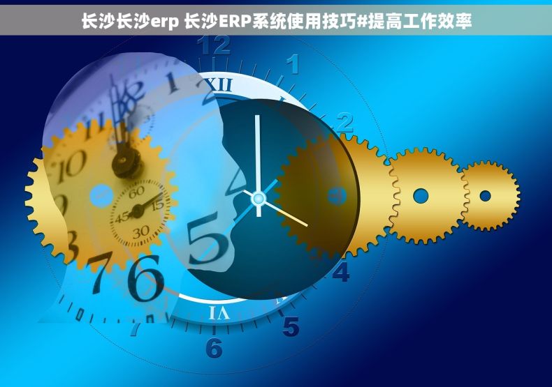 长沙长沙erp 长沙ERP系统使用技巧#提高工作效率
