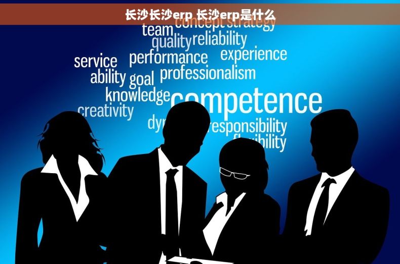长沙长沙erp 长沙erp是什么