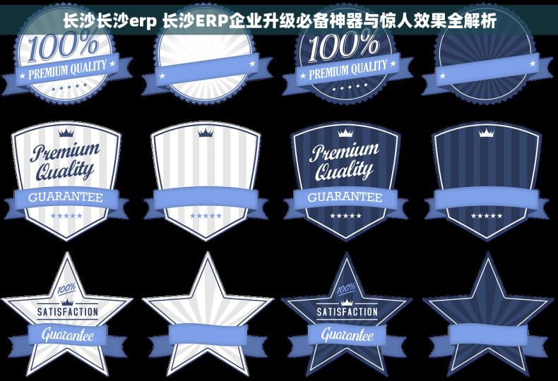 长沙长沙erp 长沙ERP企业升级必备神器与惊人效果全解析