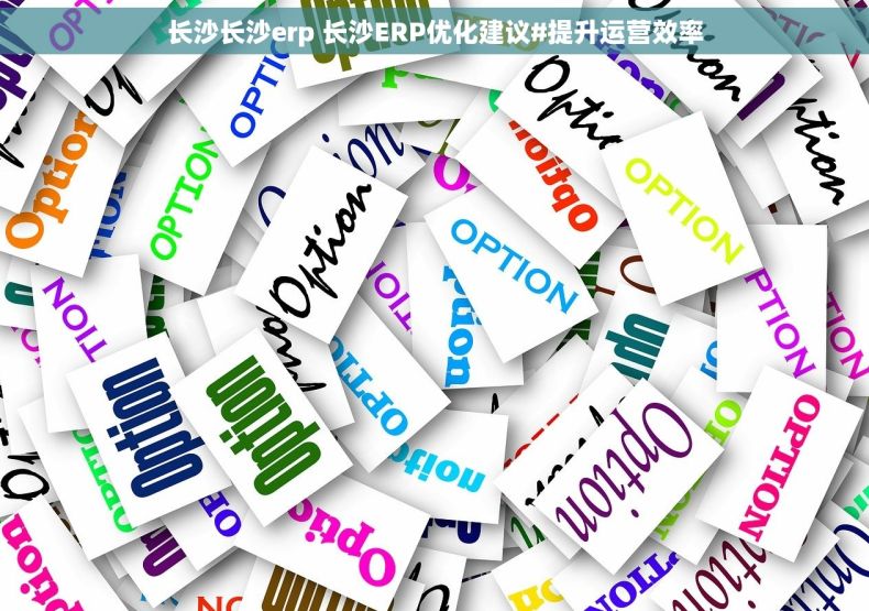 长沙长沙erp 长沙ERP优化建议#提升运营效率