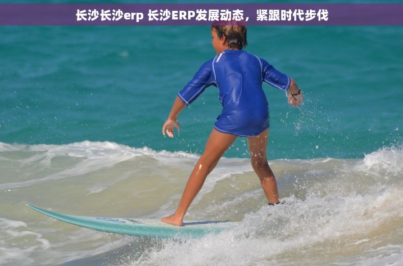 长沙长沙erp 长沙ERP发展动态，紧跟时代步伐