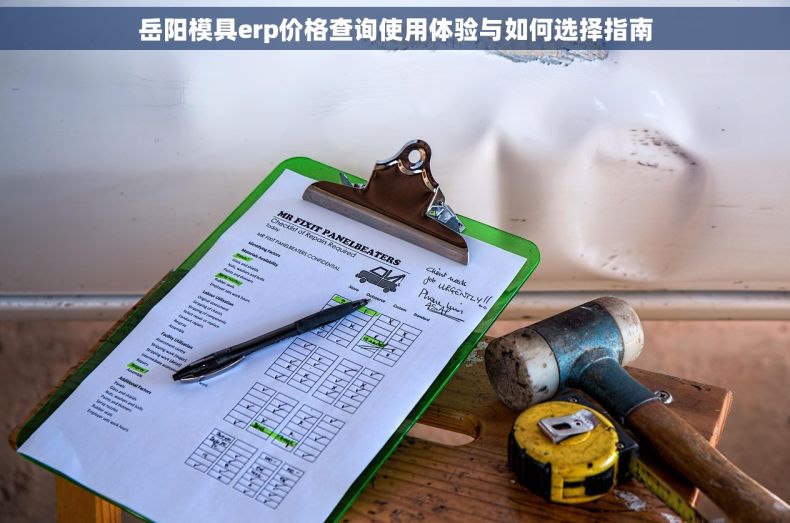 岳阳模具erp价格查询使用体验与如何选择指南
