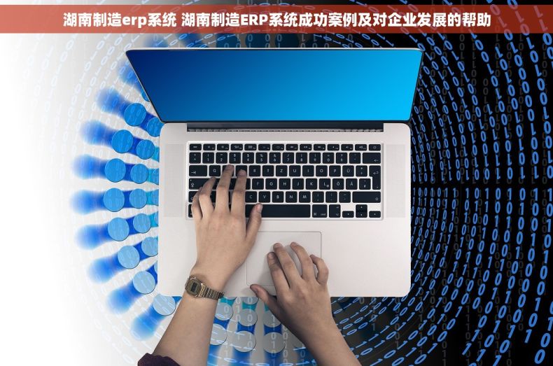 湖南制造erp系统 湖南制造ERP系统成功案例及对企业发展的帮助