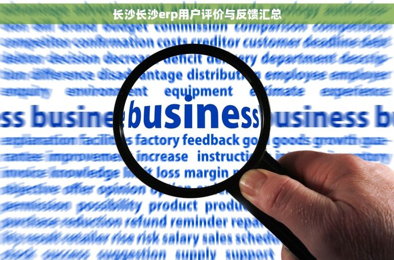 长沙长沙erp用户评价与反馈汇总