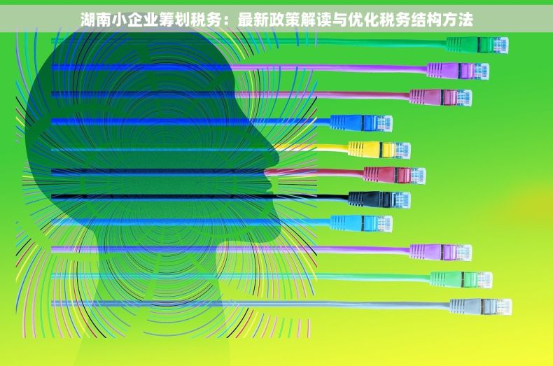 湖南小企业筹划税务：最新政策解读与优化税务结构方法